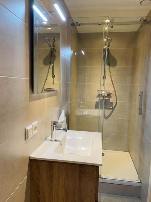 סנייק Appartement Boothuis מראה חיצוני תמונה